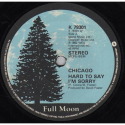 CHICAGO - HARD TO SAY I'M...