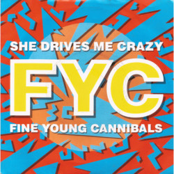 FINE YOUNG CANNIBALS - SHE...