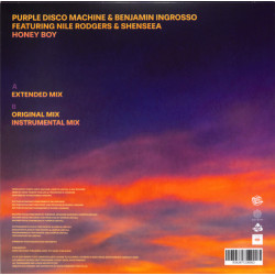 PURPLE DISCO MACHINE - HONEY BOY
