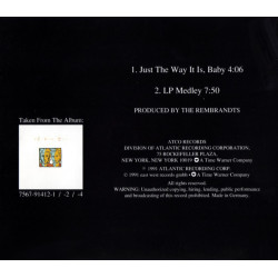 THE REMBRANDTS - JUST THE WAY IT IS BABY