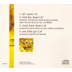 TOAD THE WET SPROCKET - ALL I WANT