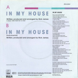 MARY JANE GIRLS - IN MY HOUSE