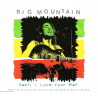 BIG MOUNTAIN - BABY I LOVE YOUR WAY