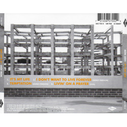 BON JOVI -  IT'S MY LIFE