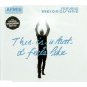 ARMIN VAN BUUREN - THIS IS WHAT IT FEEL LIKE