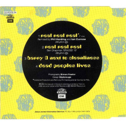 JESUS JONES - REAL REAL REAL