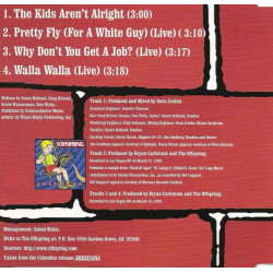 THE OFFSPRING - THE KIDS AREN'T ALRIGHT