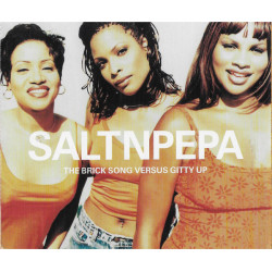 SALT N PEPA -  THE BRICK SONG