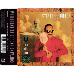 STEVIE WONDER - YOU WILL KNOW
