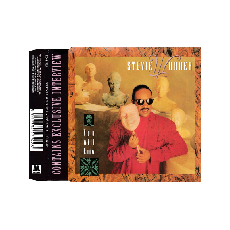 STEVIE WONDER - YOU WILL KNOW