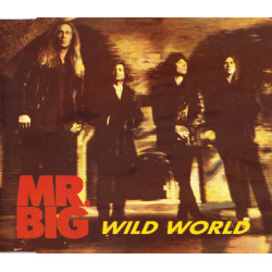 MR BIG - WILD WORLD
