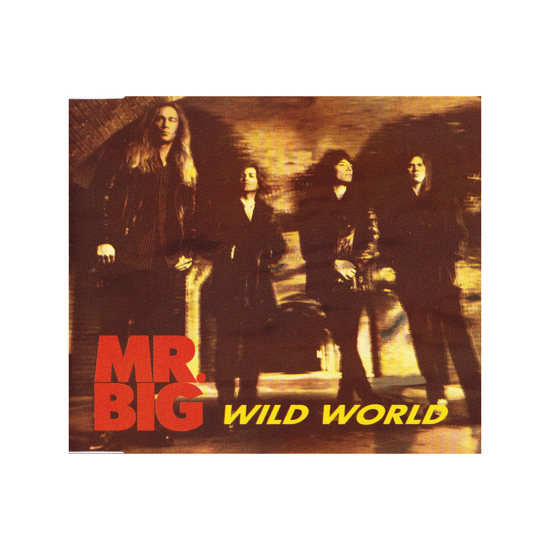 MR BIG - WILD WORLD