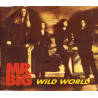 MR BIG - WILD WORLD