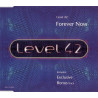 LEVEL 42  - FOREVER NOW