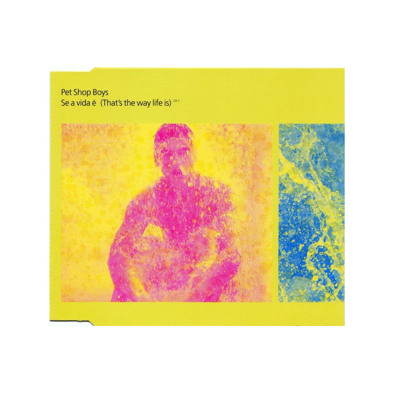 PET SHOP BOYS - SE A VIDA E