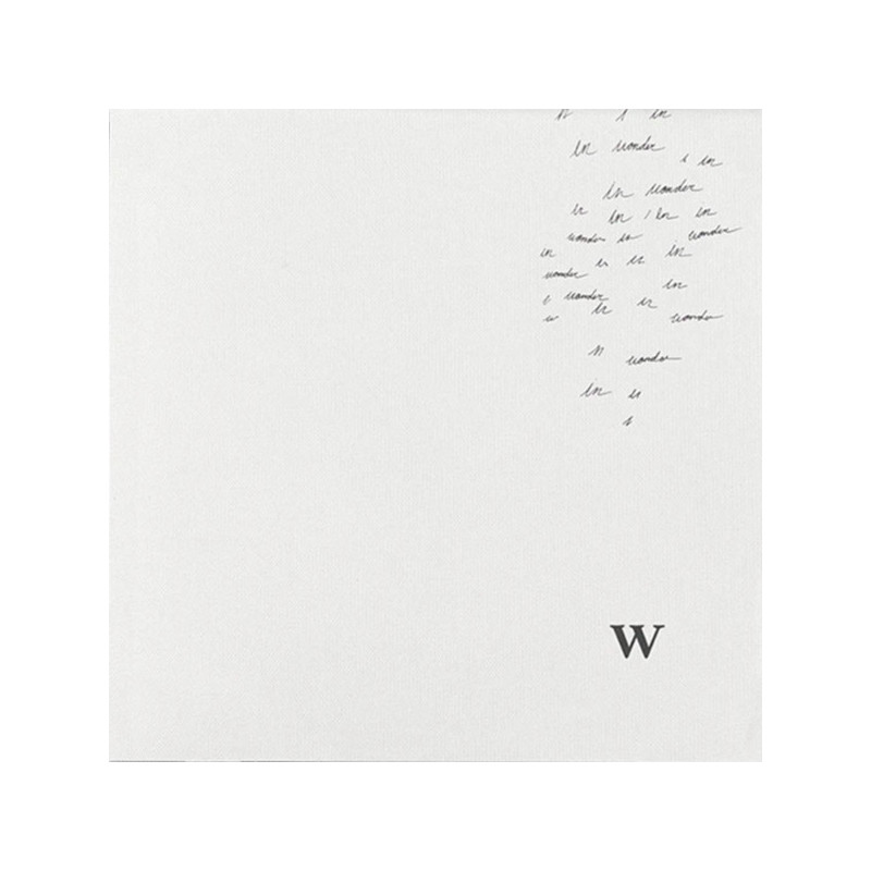 SHAWN MENDES - WONDER