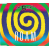 B-52'S - ROAM
