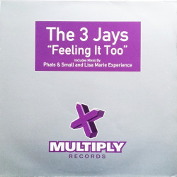 THE 3 JAYS- FEELING IT TOO
