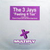 THE 3 JAYS- FEELING IT TOO