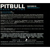 PITBULL - BACK IN TIME