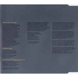 PET SHOP BOYS - NEW YORK CITY BOY