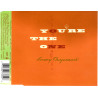 TRACY CHAPMAN -  YOU'RE THE ONE