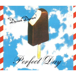 DURAN DURAN - PERFECT DAY