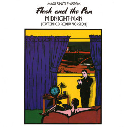 FLASH AND THE PAN -...