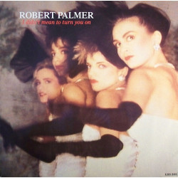 ROBERT PALMER - I DIDN'T...