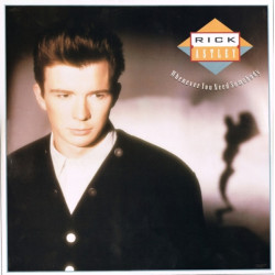 RICK ASTLEY - WHENEVER YOU...