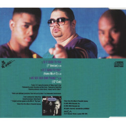 HEAVY D & THE BOYZ - Is It Good To You (ED. 1991)