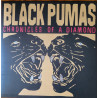 BLACK PUMAS - CHRONICLES OF A DIAMOND (ED. 2023)