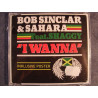 BOB SINCLAR - I WANNA (ED. 2010)