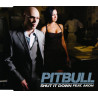 PITBULL FT AKON - SHUT IT DOWN (ED. 2010)