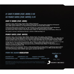 PITBULL FT AKON - SHUT IT DOWN (ED. 2010)