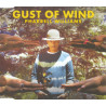 PHARRELL WILLIAMS - GUST OF WIND (ED. 2014)