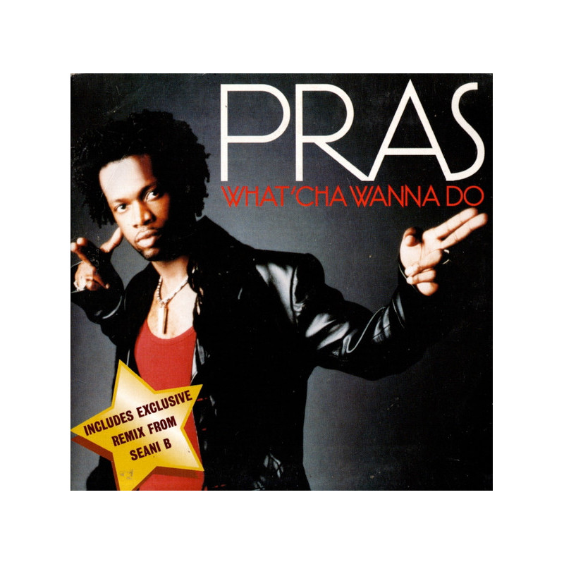 PRAS MICHEL - WHAT'CHA WANNA DO (ED. 1999)