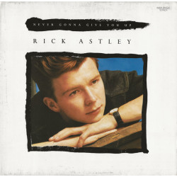 RICK ASTLEY - NEVER GONNA...
