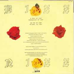 BIZZ NIZZ - GET INTO TRANCE (ED. 1991)