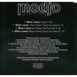 MODJO - WHAT I MEAN (ED. 2001)