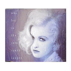 CYNDI LAUPER - WHO LET IN...