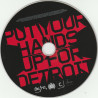 FEDDE LE GRAND - PUT YOUR HANDS UP FOR DETROIT (ED. 2006)