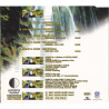NALIN & KANE - BEACHBALL (ED. 1997)