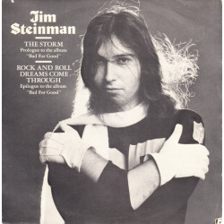 JIM STEINMAN - THE STORM /...