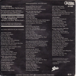 JIM STEINMAN - THE STORM / ROCK AND ROLL DREAMS COME THROUGH (ED. 1981)