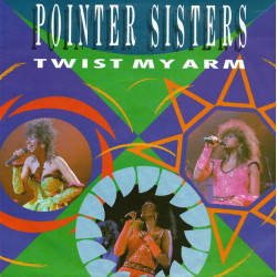 POINTER SISTERS - TWIST MY...