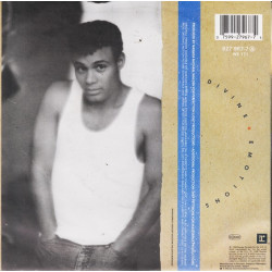 NARADA MICHAEL WALDEN - DIVINE EMOTIONS (ED. 1988)