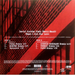 DAVID GUETTA FEAT. EMELI SANDÉ - WHAT I DID FOR LOVE (REMIXES EP) (ED. 2015)