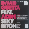 DAVID GUETTA FEAT. AKON - SEXY BITCH (ED. 2009)