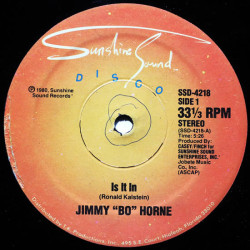 JIMMY BO HORNE - IS IT IN...